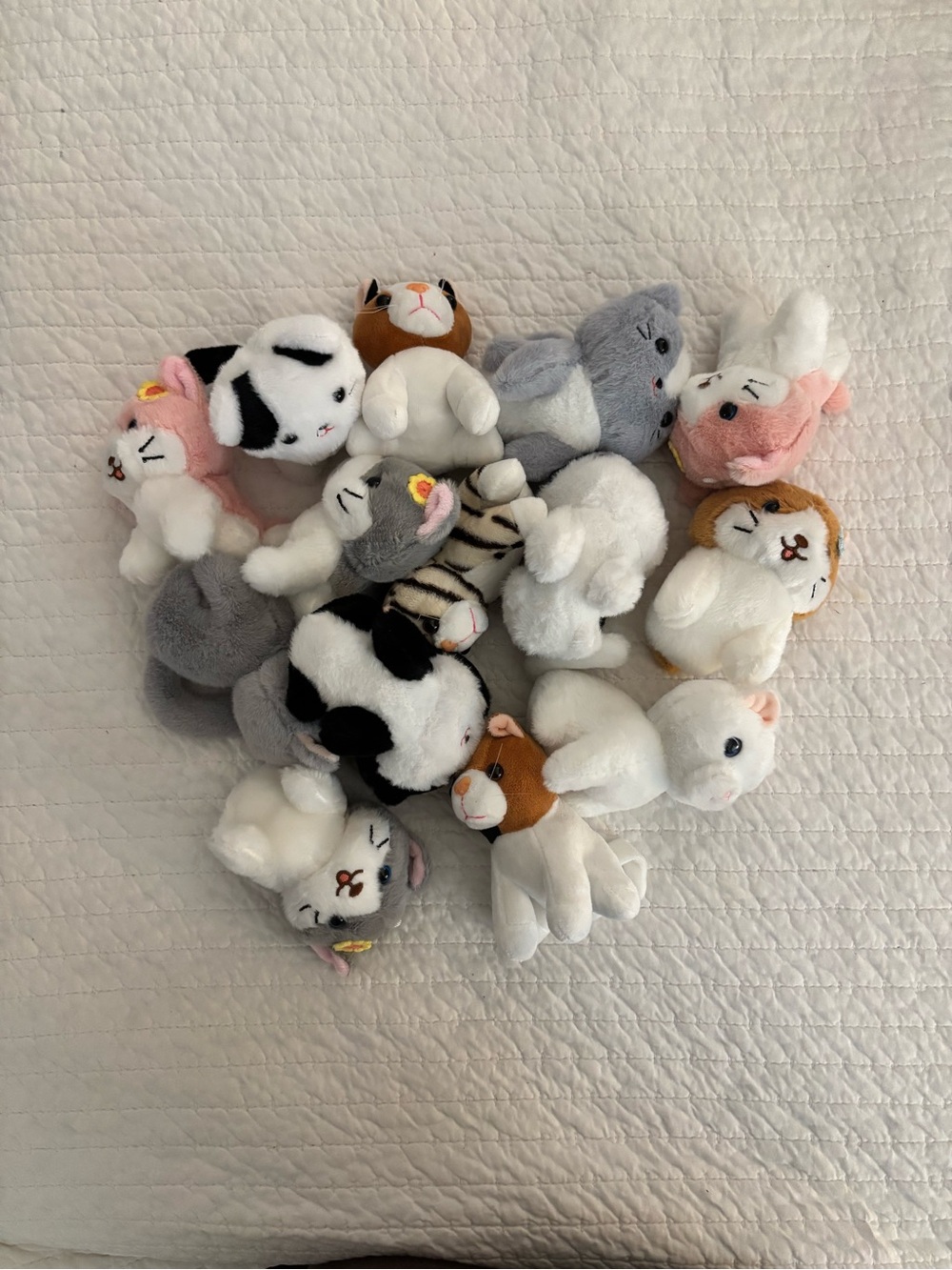 Plush Mini Cat and Bunny Assortment - White, Gray, Pink, Brown